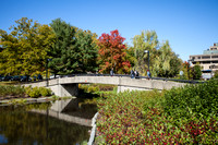 Fall on campus-48