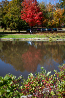 Fall on campus-45