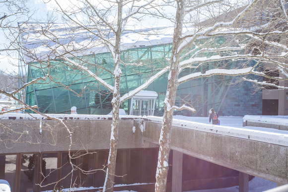 Winter on campus-367