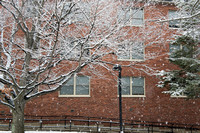 20160223-1_Snowy Campus_0036