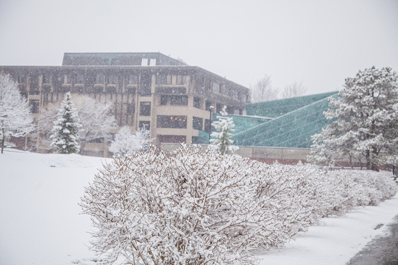 20170310-2 Snowy day on campus-9