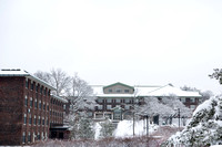 20180117-1_Snowy Campus_022
