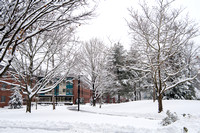 20180117-1_Snowy Campus_061