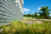 20180612-1_Science Hall Exterior and Greenery_038