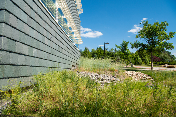 20180612-1_Science Hall Exterior and Greenery_038