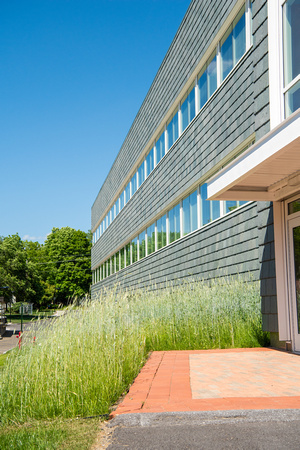 20180612-1_Science Hall Exterior and Greenery_044