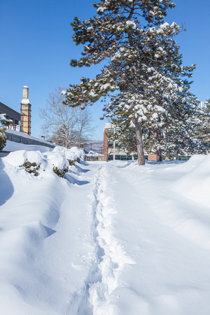 Winter on campus-358
