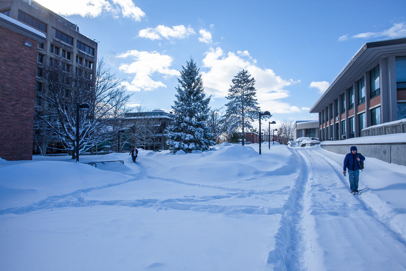 Winter on campus-357