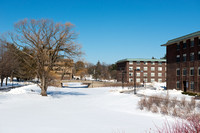 20150227-1_Sunny Snowy Campus