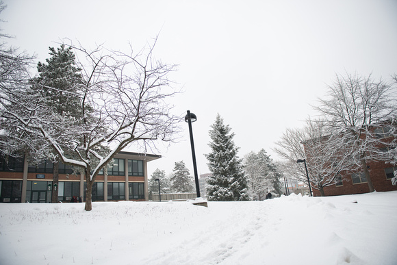 20150124-1_Snowy Campus_0010
