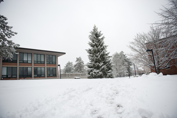 20150124-1_Snowy Campus_0019