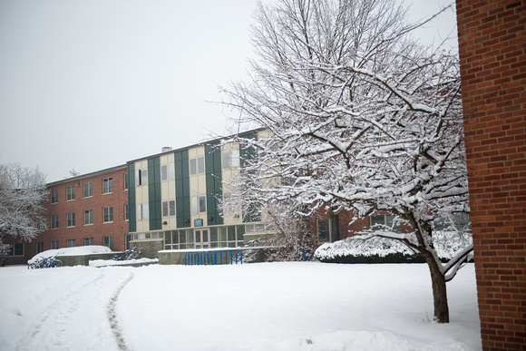 20150124-1_Snowy Campus_0032