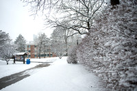 20150124-1_Snowy Campus_0092