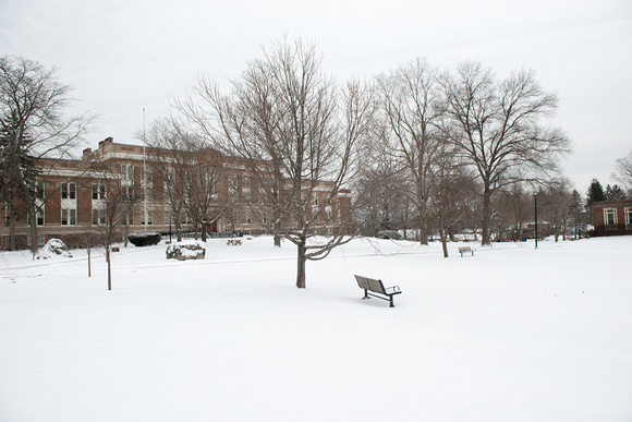 20150109-2_Snowy Campus_0012