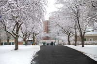 20220310-2_Late Winter Campus_0019
