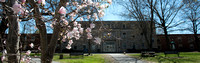spring homepage2 72dpi