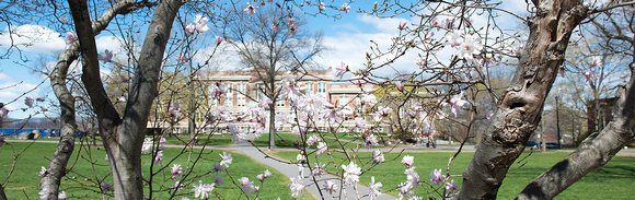 spring homepage5 72dpi