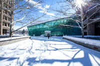 Winter on campus-371