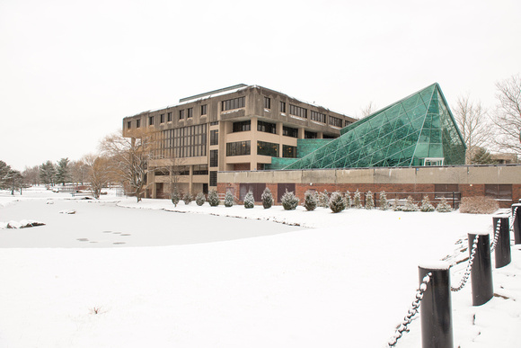 20160209-1_Snowy Campus_34