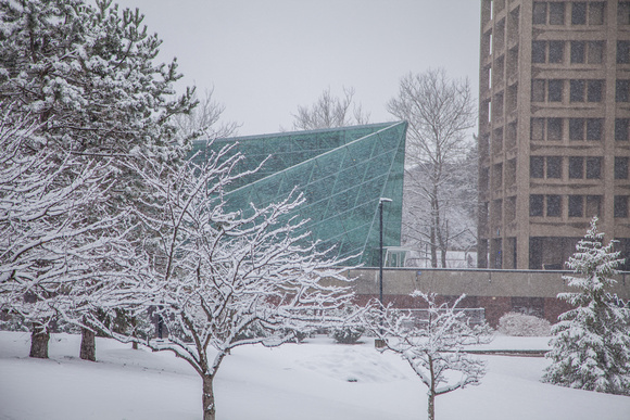 20170310-2 Snowy day on campus-16