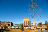 20210312-1_Early Spring Campus_040