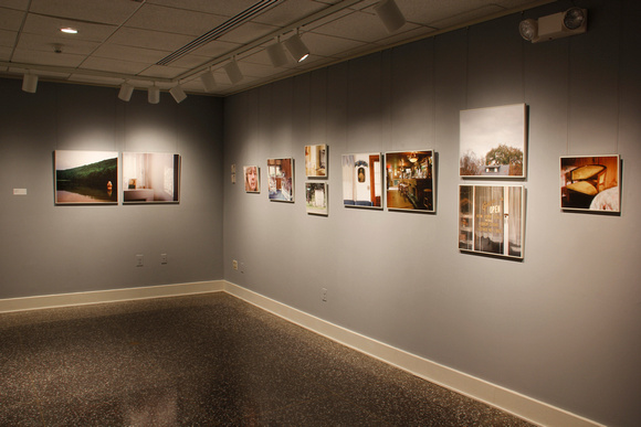 BFA/MFA exhibit, 2013 - 2014
