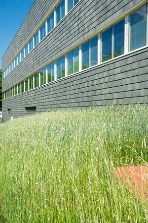 20180612-1_Science Hall Exterior and Greenery_080