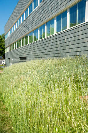 20180612-1_Science Hall Exterior and Greenery_086