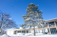 Winter on campus-364